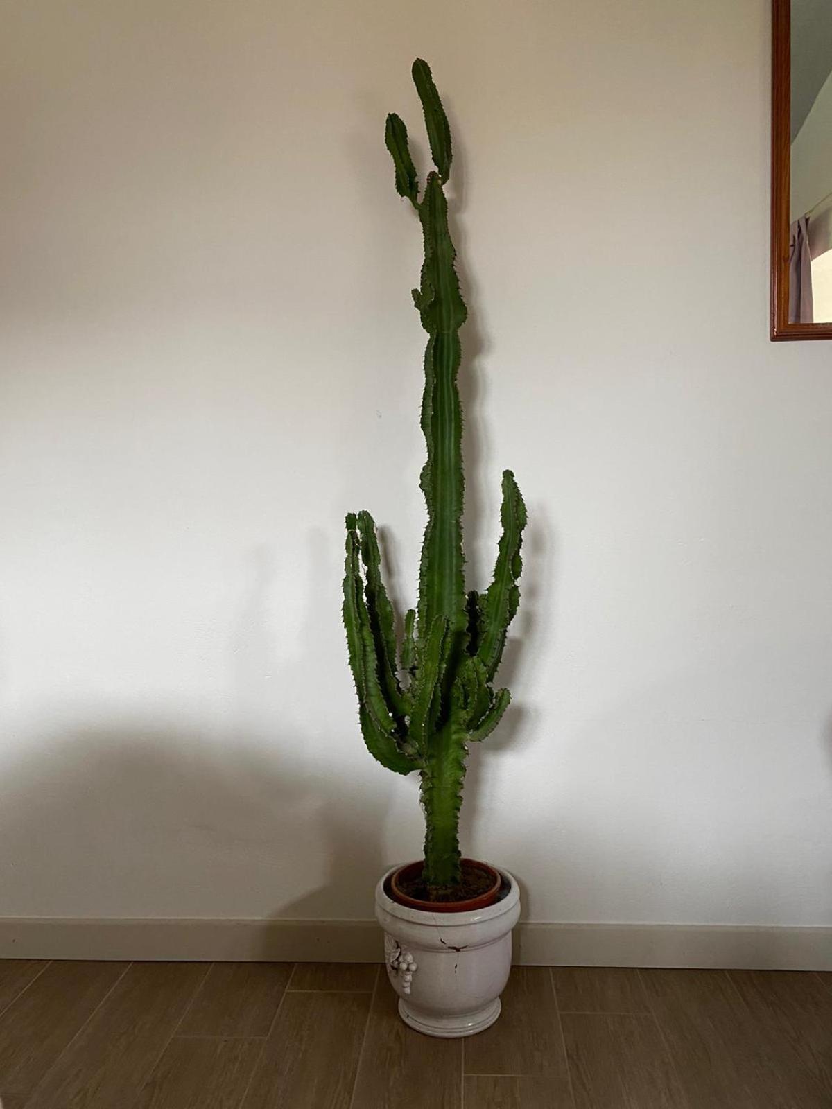 דירות איסאו Antica Casa Fenaroli מראה חיצוני תמונה